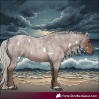 Horse Color:White Spotted Silver Blue Roan Rabicano 