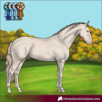 Horse Color:Smoky Creme 