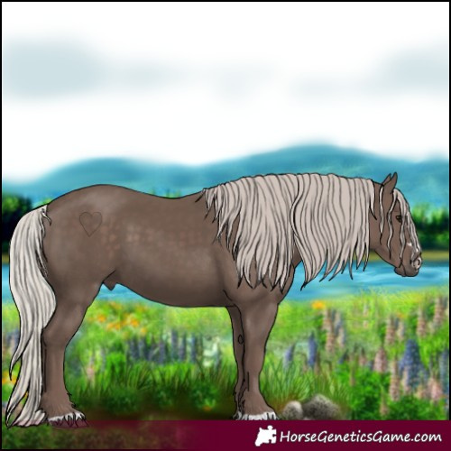 Horse Color:Silver Black 