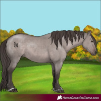 Horse Color:Platinum Liver Red Dun