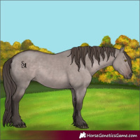 Horse Color:Platinum Liver Red Dun 