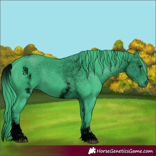 Horse Color:Void Watercolor White Spotted Smoky Black