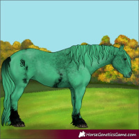 Horse Color:Void Watercolor White Spotted Smoky Black 