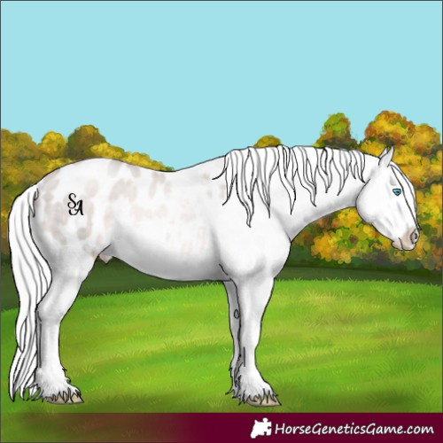 Horse Color:Platinum Chocolate Palomino Pearl Appaloosa Rabicano 