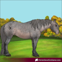 Horse Color:Platinum Brown Varnish Rabicano 
