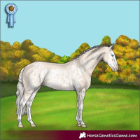 Horse Color:Cremello Splash  and Cremello Splash Frame 