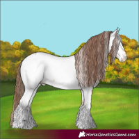 Horse Color:Bay Dun Tobiano Near Fewspot Rabicano 