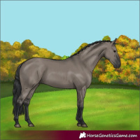 Horse Color:Grullo