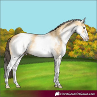 Horse Color:White Spotted Buckskin Dun 