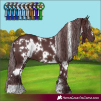 Horse Color:White Spotted Chocolate Brown 