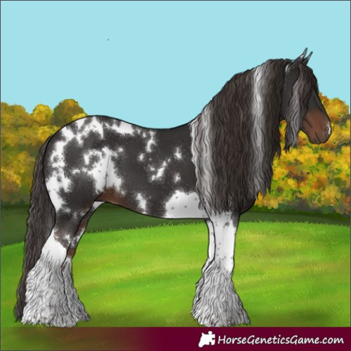 Horse Color:White Spotted Liver Chestnut Tobiano 