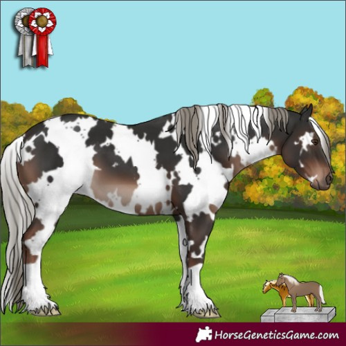 Horse Color:White Spotted Liver Chestnut Mushroom 