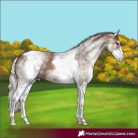 Horse Color:White Spotted Silver Black Tobiano 