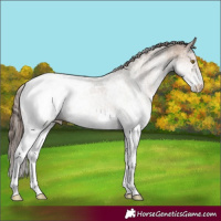 Horse Color:White Spotted Classic Champagne Snowcap 