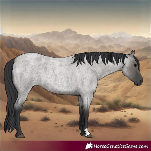 Horse Color:Grullo Roan 