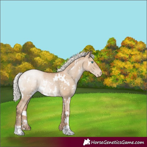 Horse Color:White Spotted Silver Grullo Pearl Snowflake Varnish