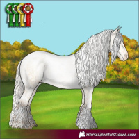 Horse Color:White Spotted Silver Smoky Grullo Pearl Appaloosa 