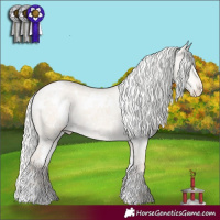 Horse Color:White Spotted Silver Smoky Creme Dun Appaloosa 
