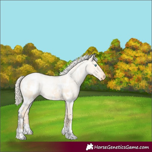 Horse Color:White Spotted Silver Smoky Grullo Pearl Snowflake Varnish