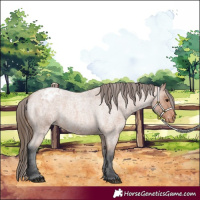 Horse Color:Bay Roan Varnish 