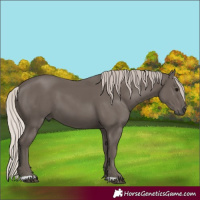 Horse Color:Silver Black 