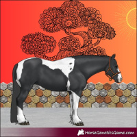 Horse Color:Black Tobiano 