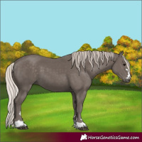 Horse Color:Silver Black 