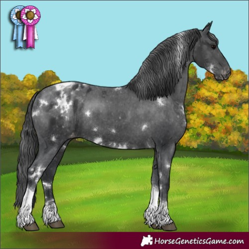 Horse Color:White Spotted Black Tobiano Varnish 