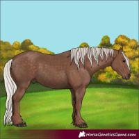 Horse Color:Silver Black 