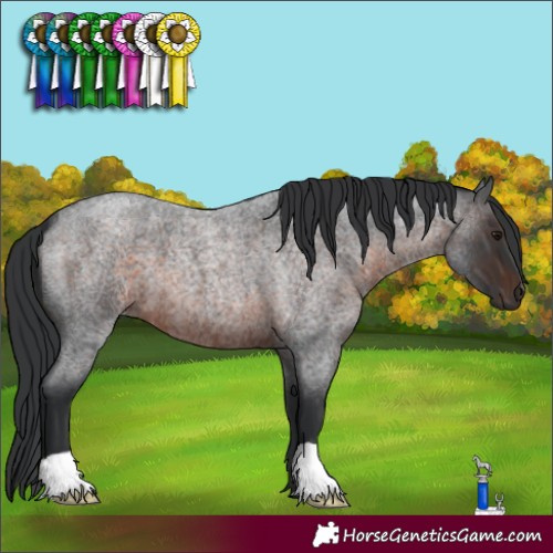 Horse Color:Brown Roan 