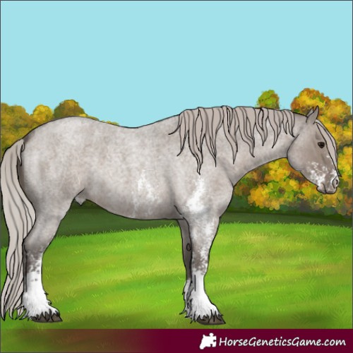 Horse Color:Silver Grullo Roan Sabino 