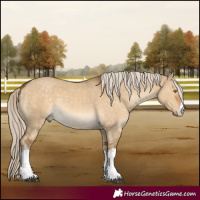 Horse Color:White Spotted Chocolate Palomino Dun