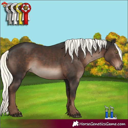 Horse Color:Liver Chestnut Mushroom 