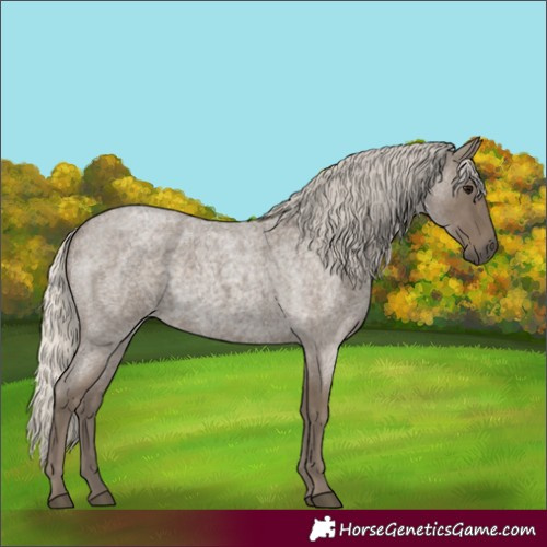 Horse Color:Silver Smoky Blue Roan Rabicano 