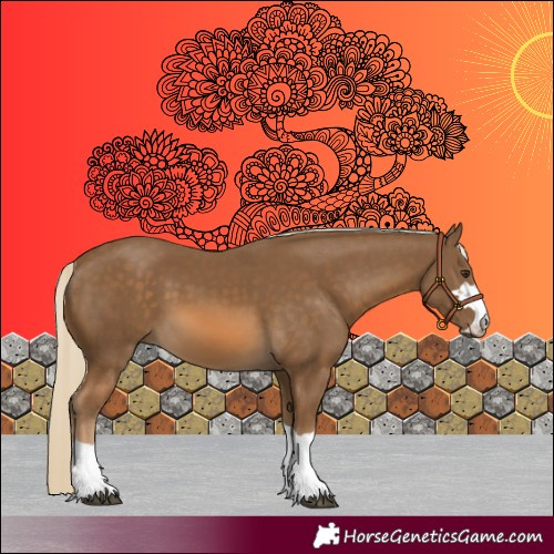 Horse Color:Chocolate Palomino 