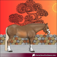 Horse Color:Chocolate Palomino