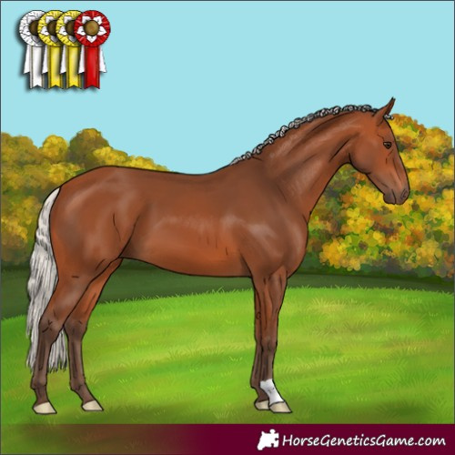 Horse Color:Silver Bay 
