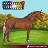 Horse Color:Silver Bay