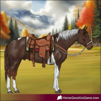 Horse Color:Liver Chestnut Tobiano 