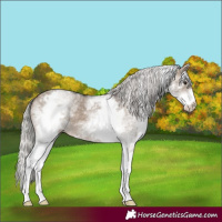 Horse Color:White Spotted Silver Brown Dun 