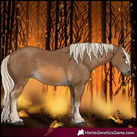 Horse Color:Chocolate Palomino