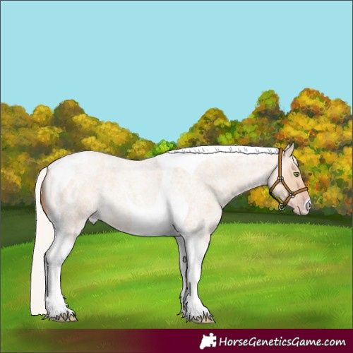Horse Color:Silver Sable Champagne Roan Dun Tobiano 