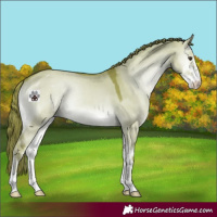 Horse Color:Watercolor Liver Red Dun Onyx Sabino 