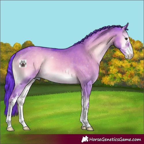 Horse Color:Watercolor Liver Red Dun Onyx Sabino 