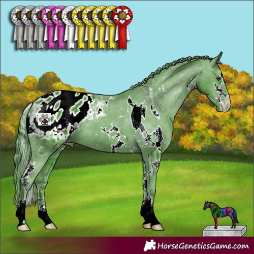 Horse Color:Watercolor White Spotted Liver Chestnut Sabino Varnish 