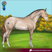 Horse Color:Brown Pearl Dun Sabino