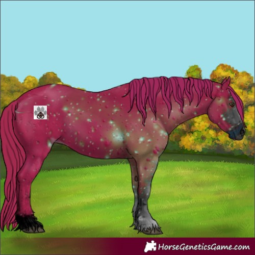 Horse Color:ERROR: UNKNOWN ANOMALY