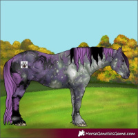 Horse Color:ERROR: UNKNOWN ANOMALY
