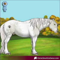 Horse Color:Watercolor Silver Grullo Pearl Tobiano 