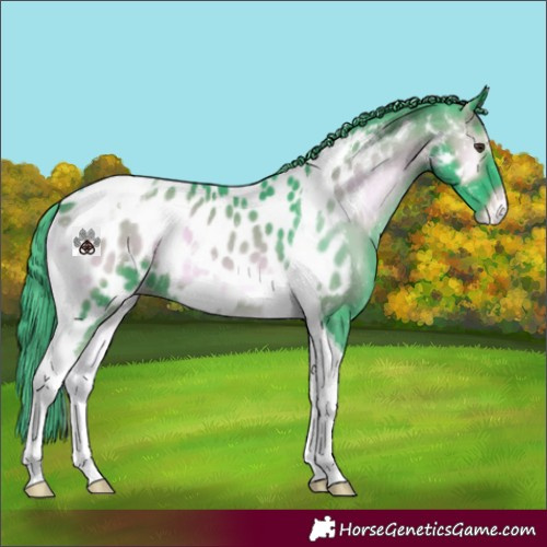 Horse Color:Watercolor Liver Red Onyx Tobiano Blanket 